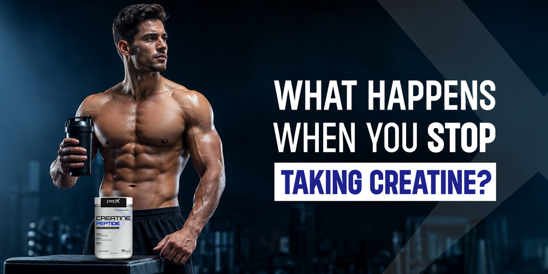 What Actually Happens When You Stop Taking Creatine?