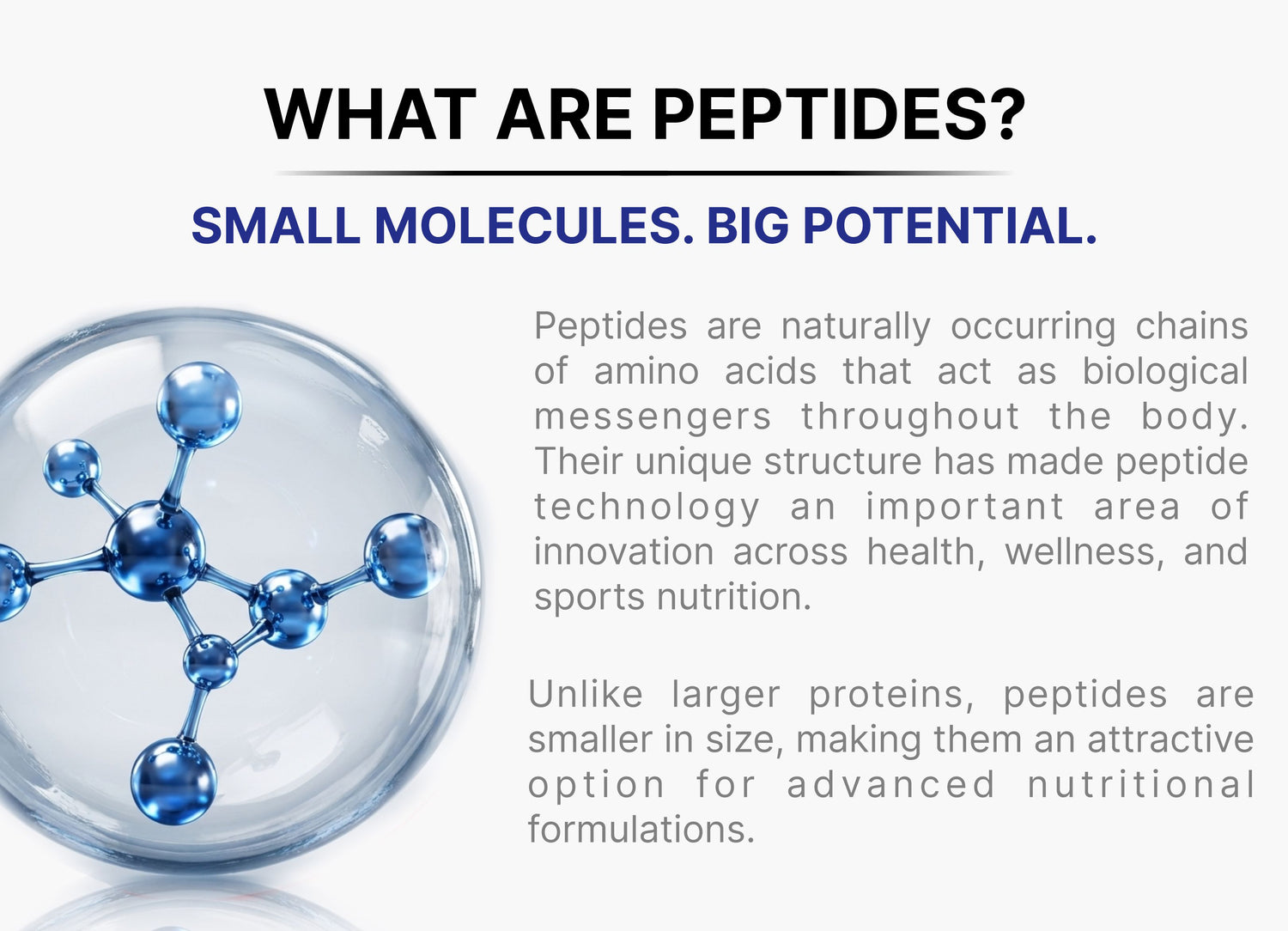 What Are Peptides? Small bioactive peptide molecules for advanced nutrition and sports performance.