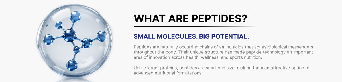 What Are Peptides? Small bioactive peptide molecules for advanced nutrition and sports performance